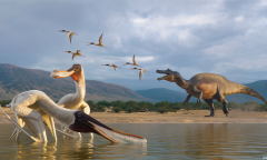 Nautilus Members Members Ad Free Experience Species Ad