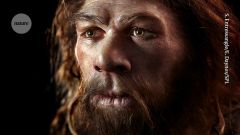 Neanderthals Dna Genomes People Genome Deserts