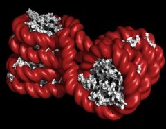 Dna Methylation Patterns Dna Methylation Plant Cell