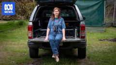 Wind Farm Energy Birds Turbines Wind Farm