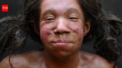 Growth Development Infant Amud Cave Humans Months