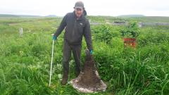 Killer Whales Fins Bbc Science Filatova Whale