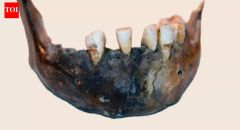 Southern Africa Populations Years Humans Evolution Ancient Southern Africans