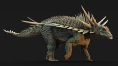 Spicomellus Spikes Armour Ankylosaurs Tail Evolution