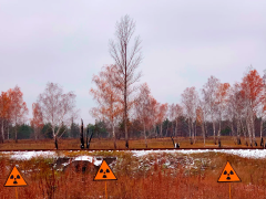 Radiation Chernobyl Zone Exclusion Exclusion Zone Frogs