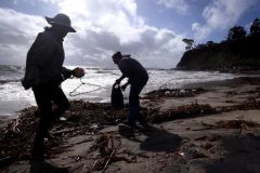 Chemicals Carbon Ocean Samples Researchers Plastics