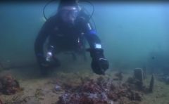 Bloom Fish Species Yorke Peninsula K Mikimotoi Brad Martin