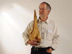 Fossil Billfish New Zealand Dr Rust Professor Otago