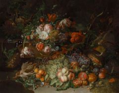 Flowers South America Rachel Ruysch Shara Hughes's Cape Horn Butterflies