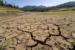 Evolution Species Drought Climate Time Rapid Evolution