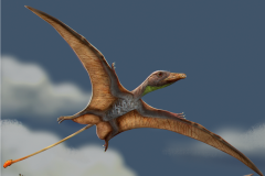Flight Brain Pterosaur Birds Fabbri Pterosaurs