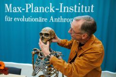 Humans Gene Changes Mice Adsl Scientists