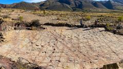 Tracks Carreras Pampa Dinosaur Footprints Tracksite Dinosaurs