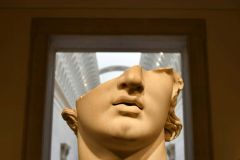 Chin Selection Jaw Changes Natural Selection Study