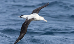 Fishing Ad Free Experience Members Ad Nautilus Members