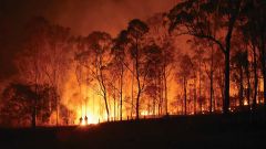 Fire Bushfire Data Climate Bushfires Change