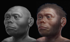 Members Ad Experience Nautilus Members Ad Free Liang Bua