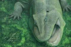 Jaw Tanyka Pedra De Fogo Teeth Animal Denticles