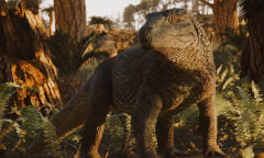 T Bellator Universidade Federal De Santa Maria Ad Experience Species Ad Free