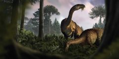 Fort Union Dinosaurs Beds Hell Creek Formation Paleogene