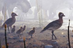 Birds Prince Creek Arctic Enantiornithines Fossils Time