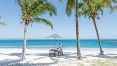 Island Madagascar Beach Forest Morning Miavana