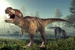 Skulls Dinosaurs Eric Snively Komodo Dragon Giganotosaurus T Rex