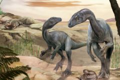 H Jaguensis Fossil Necks Neck Dinosaurs Dinosaur