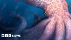 Octopuses Animals Predators Research Scientists Jaws