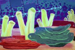 Chemical Sterols C Sponges Rocks Steranes