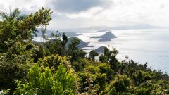 Tip Jost Van Dyke Island Local Tip Bvis British Virgin Islands