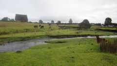 Monte Verde Site Years South America Science Study