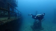 Reef Dive Skill Level Skill Level Depth