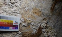 Art Rock Art Hand Sulawesi Aubert Discovery