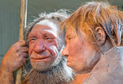 Dna X Chromosomes Neanderthal Dna Humans Males