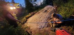 Runestone Runes Stone Researchers Williams Primrose