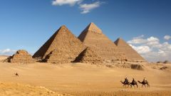 Pyramid Giza Tip Egypt Camel Plateau