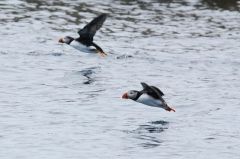 Plastics Ocean Conservancy's Sea Ocean Study Plastic