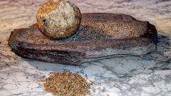 Plant Evidence Plants Years Spectrum Foods