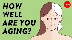 Microbiome Gut Aging Bacteria Microbes People