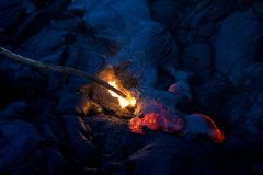 Humans Burns Fire Injury Response Selection