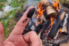 Birch Tar Birch Bark Neanderthals Birch Tar Properties