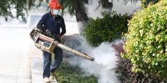 Virus Chikungunya Health Cdc Outbreak Pain