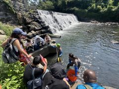 Restoration Silvia Vargas Rueda Wetlands Bronx River Forests Ecosystems