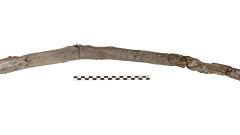 Tools New York Site Greece's Megalopolis Basin Scientists Jarod Hutson