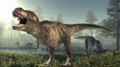 T Rex Spinosaurus Rowe Skulls Bite Stress