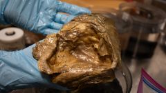 Orb Team Object Sea Scientists Golden Orb