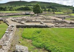 Parasites Vindolanda Romans Roman Fort Soldiers Wall