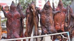 Trade Pathogens Wildlife Humans Species Animals