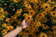 Atoms Force Object Electrons Touch Contact